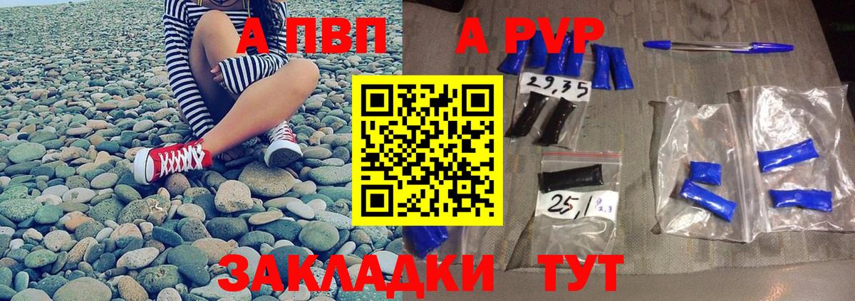 Alfa_PVP СК КРИС Майкоп