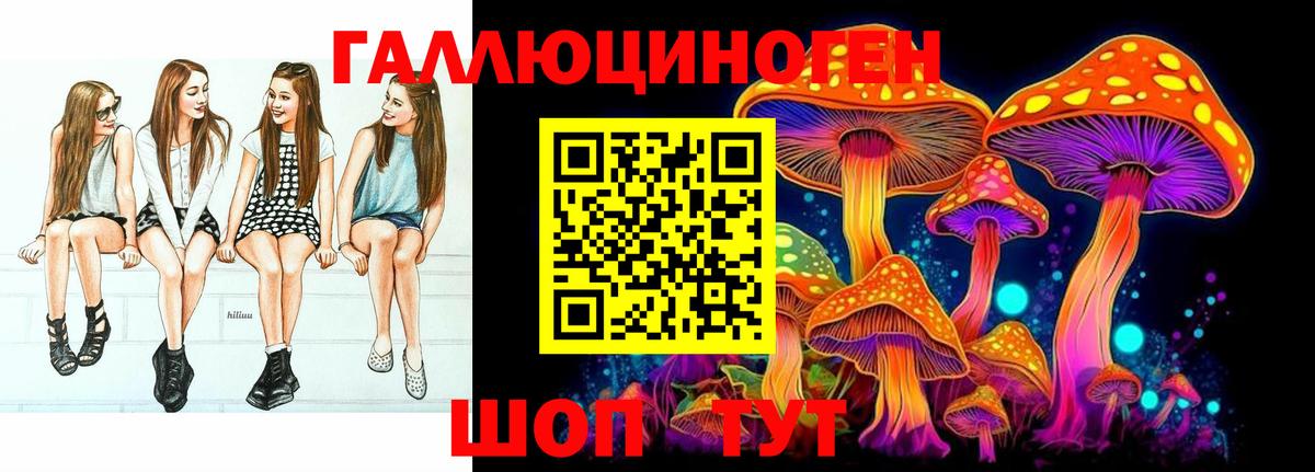 Псилоцибиновые грибы Psilocybe Майкоп