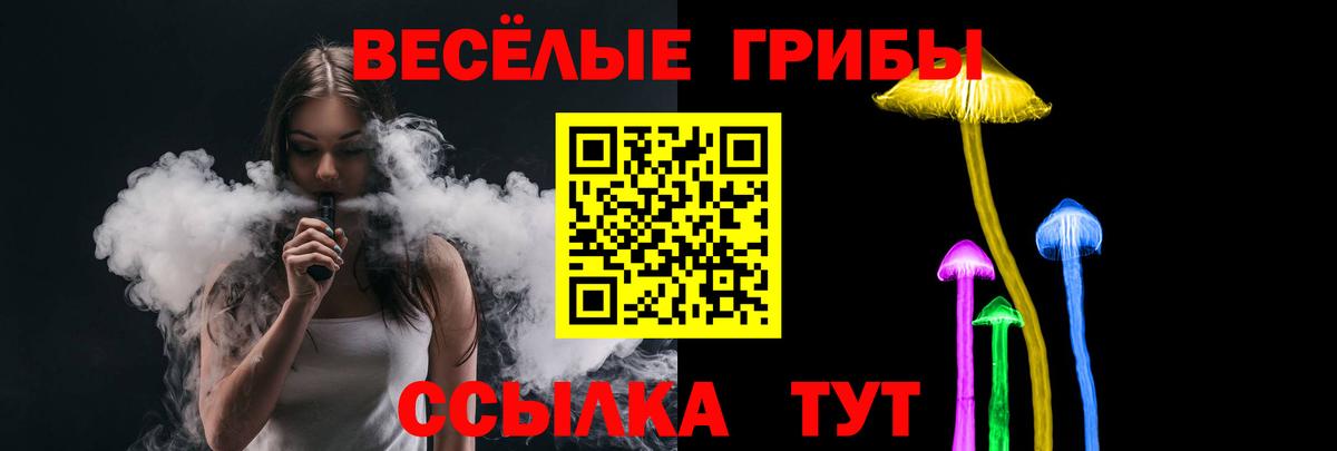 Майкоп  Псилоцибиновые грибы Psilocybine cubensis  Вход с VPN 